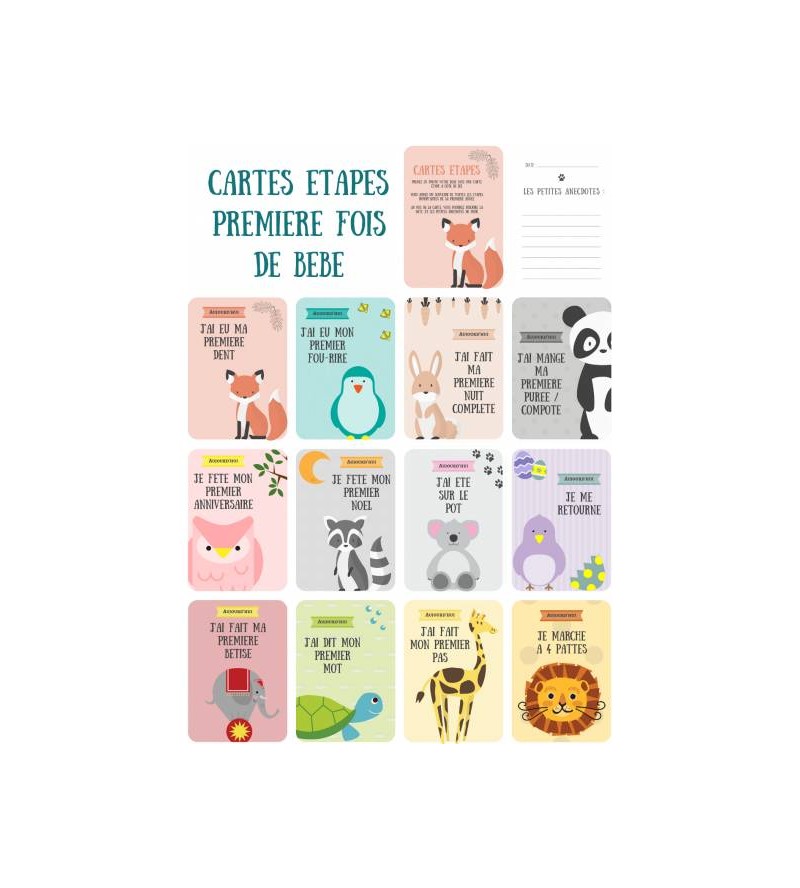  Carte étapes Bébé – 18 cartes étapes à découper