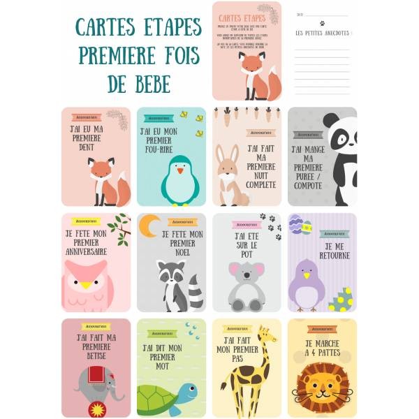 Cartes étape bébé français – Coffret 50 cartes