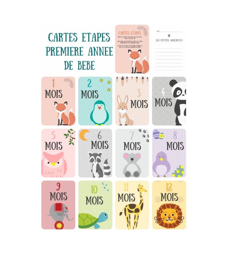 Kit premiers mois de bébé (12 cartes) : Zü