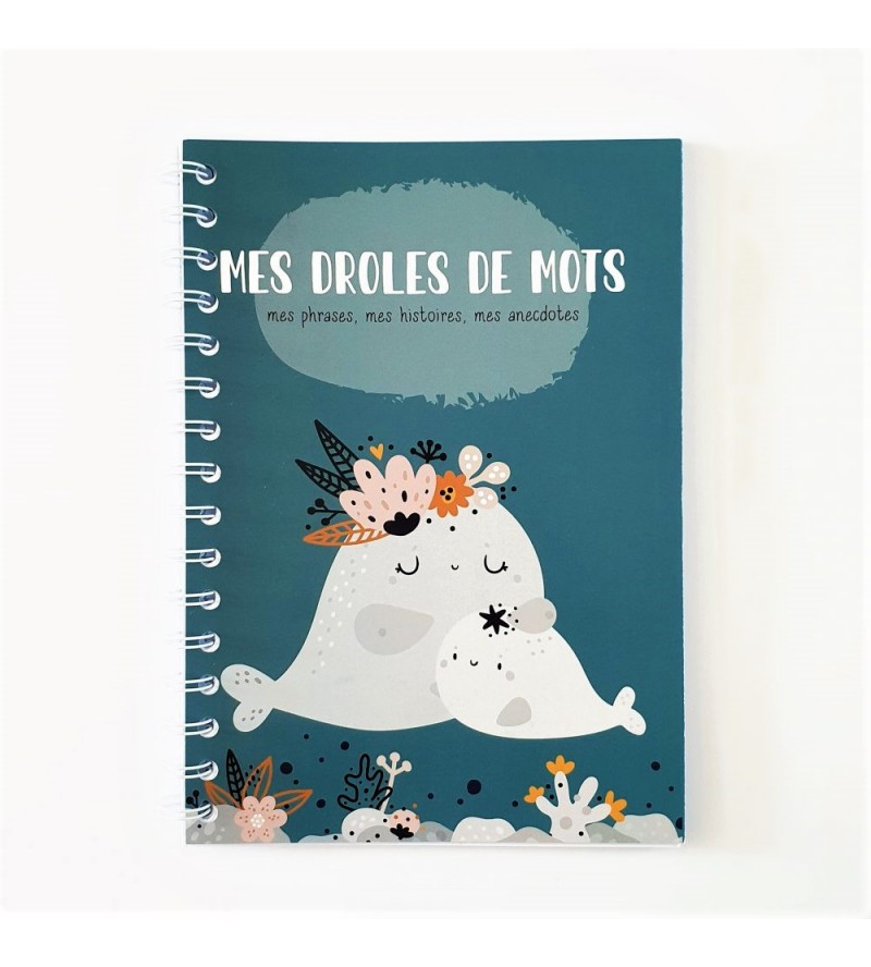 Mon carnet de naissance: Idée cadeau naissance d'un nouveau-né (French  Edition): Naissance, Collection: : Books