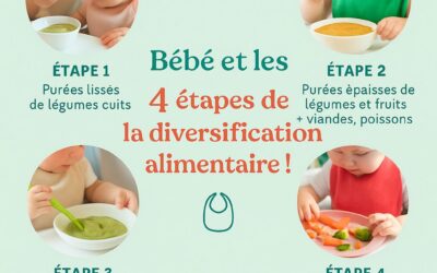 Bébé et les 4 étapes de la diversification alimentaire 🍎🥕