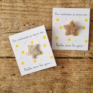Broche étoile merci maitresse