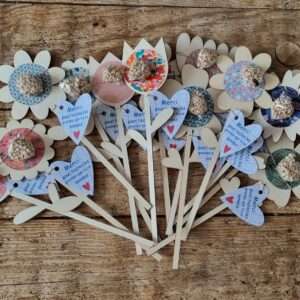 Cadeau maitresse - fleurs et graines à planter - 6 modèles