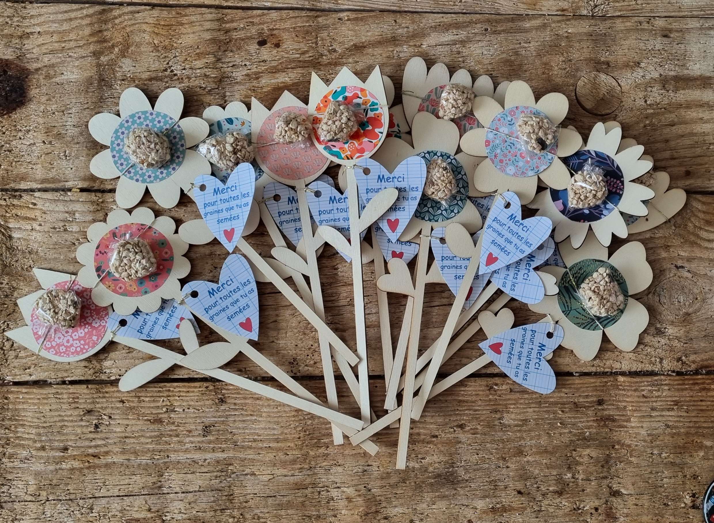 Cadeau maitresse - fleurs et graines à planter - 6 modèles