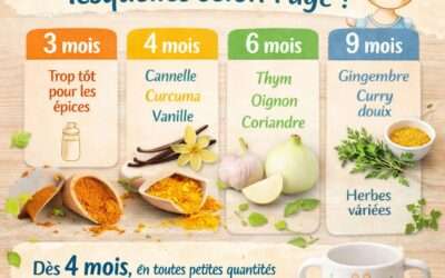 Épices Bébé : Le guide complet âge par âge pour réveiller ses papilles